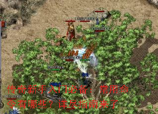 传奇新手入门必备:常用命令有哪些?详尽指南来了 传奇新手入门必备:常用命令有哪些?详尽指南来了