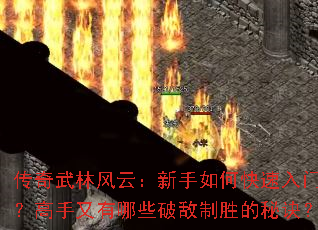 �������ַ��ƣ�������ο������ţ�����������Щ�Ƶ���ʤ���ؾ���