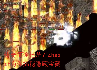 ������;��ã��ZhaosfΪ��������ر���