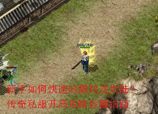新手如何快速制霸玛法大陆?传奇私服开局攻略秒懂指南 新手如何快速制霸玛法大陆?传奇私服开局攻略秒懂指南