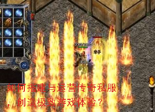 ��δ����Ӫ����˽�������켫����Ϸ���飿