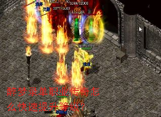 ����¼��ְҵ������ô���������ȼ���