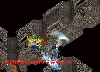 ����IP��Ȩ���þ�����Ҫ���٣�