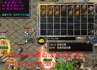��λ�����ް׻���������ս������302300253��
