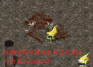 ��λ�����ް׻���������ս������302300253��