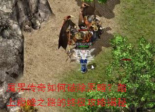 ħ�紫������Ƴ��ڰ���̤���۷�֮·���ռ����Խ���