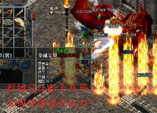 Ⱥ�ۼ�sh���ֿ�����ο�������ս����
