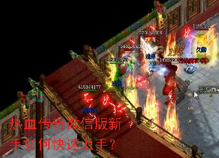 ��Ѫ����΢�Ű�������ο������֣�