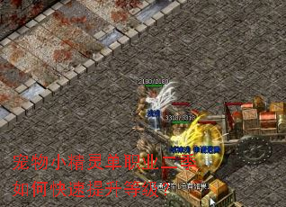 ����С���鵥ְҵ������ο��������ȼ���