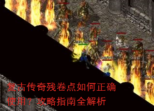 ���Ŵ���о��������ȷʹ�ã�����ָ��ȫ����