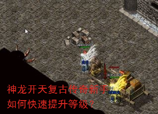 �������츴�Ŵ���������ο��������ȼ���