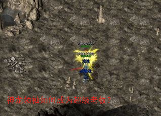 神龙领袖如何成为超级老板? 神龙领袖如何成为超级老板?