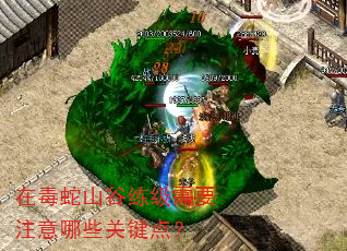 在毒蛇山谷练级需要注意哪些关键点? 在毒蛇山谷练级需要注意哪些关键点?