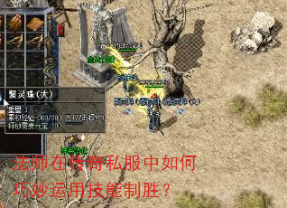 法师在传奇私服中如何巧妙运用技能制胜? 法师在传奇私服中如何巧妙运用技能制胜?