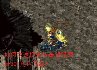 如何快速提升传奇新服网sf301角色等级? 如何快速提升传奇新服网sf301角色等级?