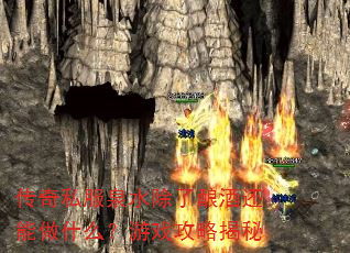 传奇私服泉水除了酿酒还能做什么?游戏攻略揭秘 传奇私服泉水除了酿酒还能做什么?游戏攻略揭秘
