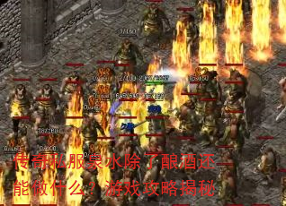 传奇私服泉水除了酿酒还能做什么?游戏攻略揭秘 传奇私服泉水除了酿酒还能做什么?游戏攻略揭秘