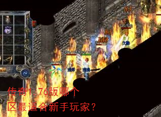 传奇1.76版哪个区最适合新手玩家? 传奇1.76版哪个区最适合新手玩家?