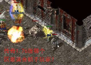 传奇1.76版哪个区最适合新手玩家? 传奇1.76版哪个区最适合新手玩家?