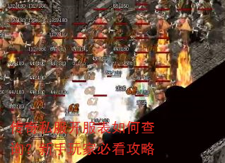 ����˽����������β�ѯ��������ұؿ�����
