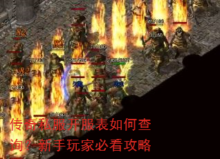 ����˽����������β�ѯ��������ұؿ�����