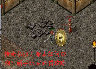 ����˽����������β�ѯ��������ұؿ�����