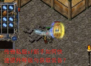 传奇私服sf新手如何快速提升等级与获取装备? 传奇私服sf新手如何快速提升等级与获取装备?