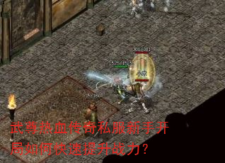 武尊热血传奇私服新手开局如何快速提升战力? 武尊热血传奇私服新手开局如何快速提升战力?