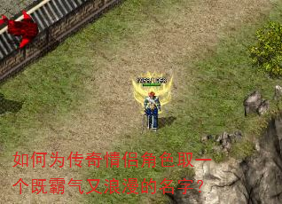 如何为传奇情侣角色取一个既霸气又浪漫的名字? 如何为传奇情侣角色取一个既霸气又浪漫的名字?