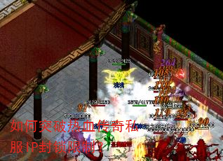 ���ͻ����Ѫ����˽��IP�������ƣ�