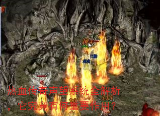 ��Ѫ��������ϵͳȫ�������������к���Ҫ���ã�