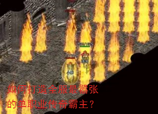 ��δ���ȫ�������ŵĵ�ְҵ���������