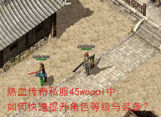 ��Ѫ����˽��45woool����ο���������ɫ�ȼ���װ����