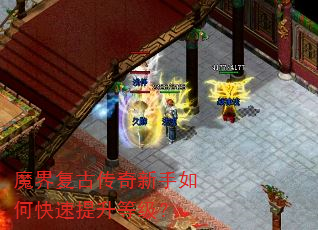 ħ�縴�Ŵ���������ο��������ȼ���