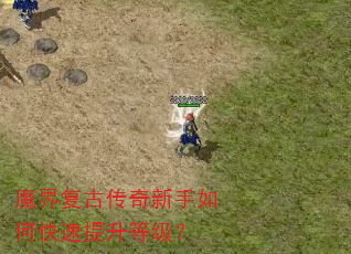ħ�縴�Ŵ���������ο��������ȼ���