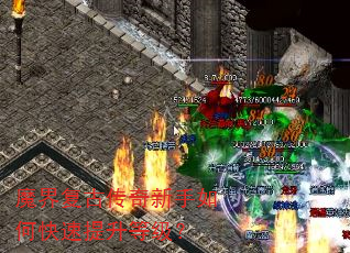 ħ�縴�Ŵ���������ο��������ȼ���