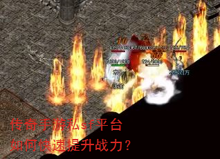 ��������˽sfƽ̨��ο�������ս����
