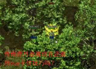 ������¶�ħ���ڻ�����bug��λ������
