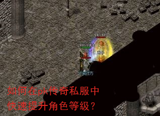�����pk����˽���п���������ɫ�ȼ���
