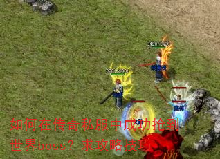 ����ڴ���˽���гɹ���������boss�����Լ���