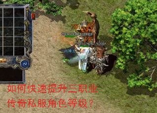 如何快速提升三职业传奇私服角色等级? 如何快速提升三职业传奇私服角色等级?
