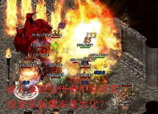 �¿���ְҵ���������ʵ��ȫװ��������󻯣�