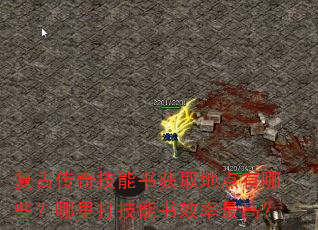 ���Ŵ��漼�����ȡ�ص�����Щ�����������Ч����ߣ�