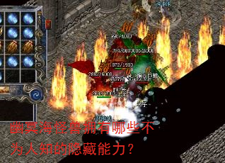 ��ڤ������ӵ����Щ��Ϊ��֪������������