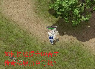 如何快速提升80合击传奇私服角色等级? 如何快速提升80合击传奇私服角色等级?