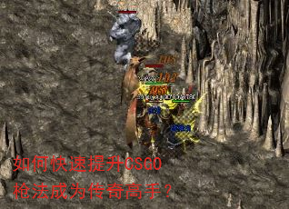 ��ο�������CSGOǹ����Ϊ������֣�
