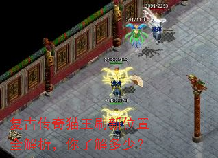 ���Ŵ���è��ˢ��λ��ȫ���������˽���٣�