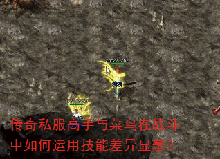 ����˽�������������ս����������ü��ܲ���������