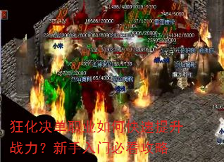 �񻯾���ְҵ��ο�������ս�����������űؿ�����