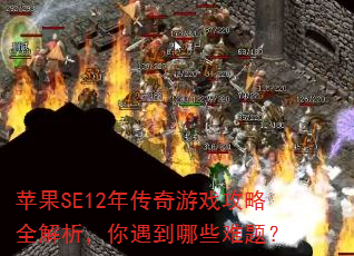 ƻ��SE12�괫����Ϸ����ȫ��������������Щ���⣿